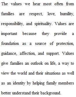 What are the core values of a family